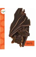 Bats