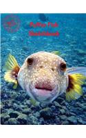 Puffer Fish Sketchbook: Blank Paper for Drawing, Doodling or Sketching 120 Large Blank Pages (8.5x11) for Sketching, inspiring, Drawing Anything Kids Love to do and to Impr