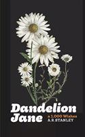 Dandelion Jane: A 1,000 Wishes(2 Dandelion Jane)