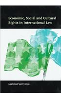 Economic, Social and Cultural Rights in International Law