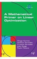 A Mathematical Primer on Linear Optimization