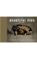 Beautiful Pigs Journal