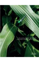 In the Spring of 2017 Martin Roth: Selection of Works
