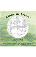 Color Me Brisket