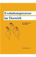 Evolutionsprozesse Im Tierreich