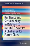 Resilience and Sustainability in Relation to Natural Disasters: A Challenge for Future Cities