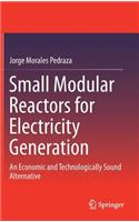 Small Modular Reactors for Electricity Generation