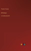 Effi Briest: in Großdruckschrift