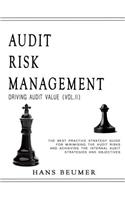 AUDIT RISK MANAGEMENT (Driving Audit Value, Vol. II) - The best practice strategy guide for minimising the audit risks and achieving the Internal Audit strategies and objectives