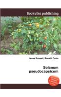 Solanum Pseudocapsicum: (English)