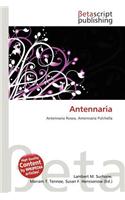 Antennaria: (English)