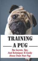 Training A Pug: The Secrets, Tips, And Techniques To Easily House Train Your Pug: House Training For Your Pug Guide