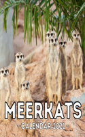 Meerkats Calendar 2021: 16-Month Calendar, Cute Gift Idea For Meerkat Lovers Women & Men