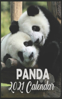 Panda Calendar 2021