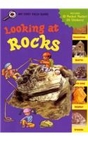 Looking at Rocks