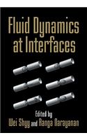 Fluid Dynamics at Interfaces