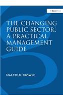 Changing Public Sector: A Practical Management Guide