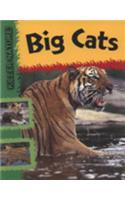 Killer Nature: Big Cats