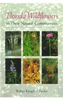 Florida Wildflowers in Their Natural Communities