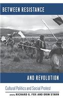 Between Resistance and Revolution