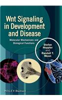 Wnt Signaling in Development and Disease