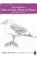 Drawing Basics, How to See, How to Draw with Claudia Nice