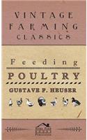 Feeding Poultry