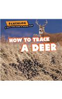 How to Track a Deer