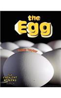 Egg