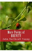 More Poems of BREVITY