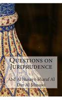 Questions on Juriprudence