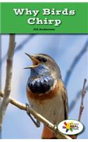 Why Birds Chirp