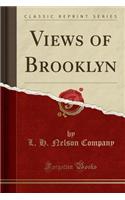 Views of Brooklyn (Classic Reprint)
