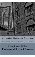 Attacking Domestic Violence