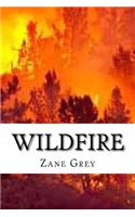 Wildfire
