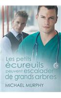 Les Petits Ecureuils Peuvent Escalader de Grands Arbres