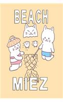 Beachcat