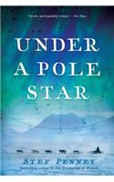Under a Pole Star