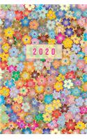 2020