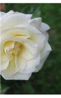White Rose Notebook