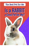 Is a Rabbit a Good Pet for Me?