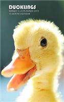 Ducklings Weekly 5 X 8 Planner 2019: 12 Month Calendar