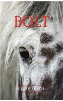 Bolt