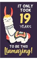 It Only Took 19 Years to Be This Llamazing!