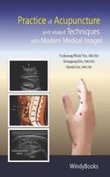 Practice of Acupuncture and Related Techniques with Modern Medical Images