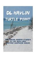 Turtle Point
