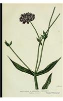 Botanical Print Journal