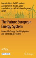 Future European Energy System