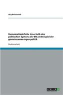 Demokratiedefizite innerhalb des politischen Systems der EU am Beispiel der gemeinsamen Agrarpolitik