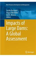 Impacts of Large Dams: A Global Assessment